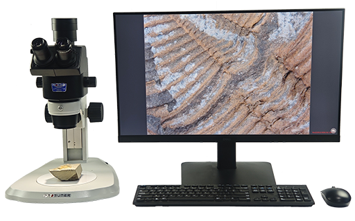 常規(guī)體視顯微鏡CREATIVE SM850